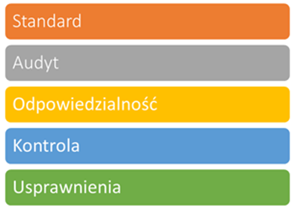 Schemat zarządzania procesem: standard, audyt, odpowiedzialność, kontrola, usprawnienia