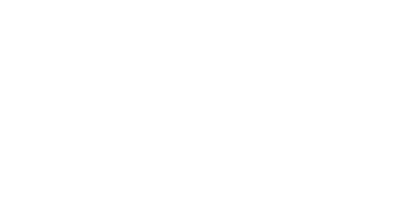 Paweł Birecki